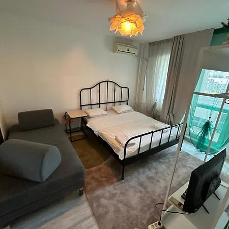 Victoriei By 公寓 *